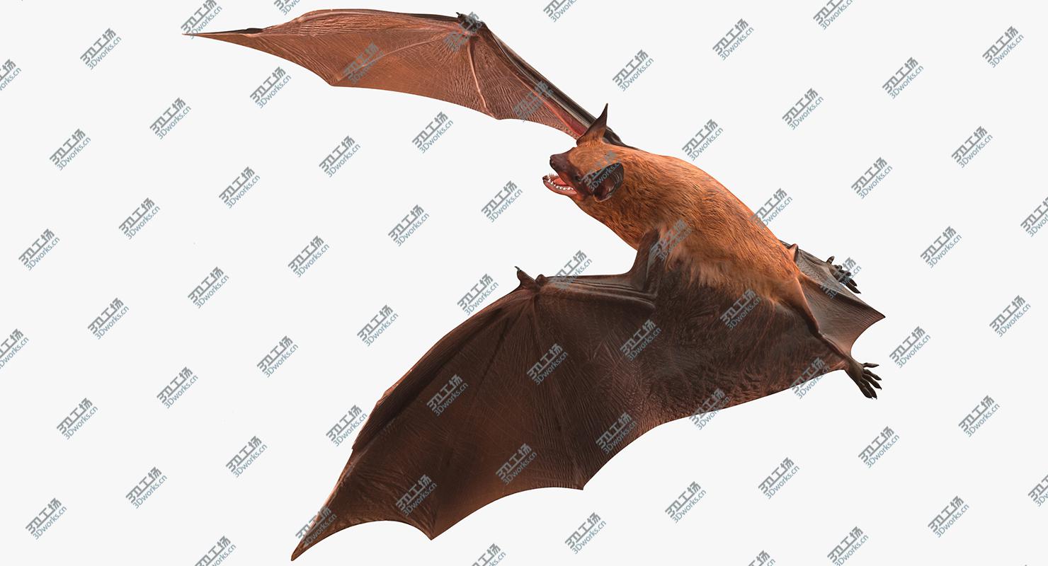 images/goods_img/2021040233/Bat Rigged for Cinema 4D/5.jpg